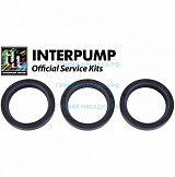 Ремкомплект Interpump Kit 37