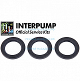 Ремкомплект Interpump Kit 2