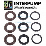 Ремкомплект Interpump Kit 196