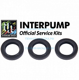 Ремкомплект Interpump Kit 83